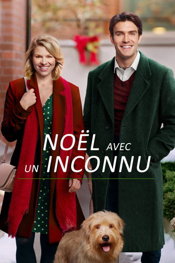 Regarder Noël avec un inconnu en streaming complet
