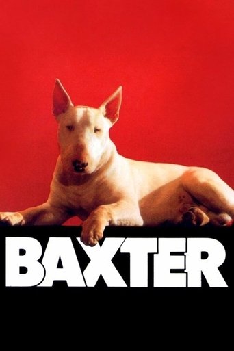 Regarder Baxter en streaming complet